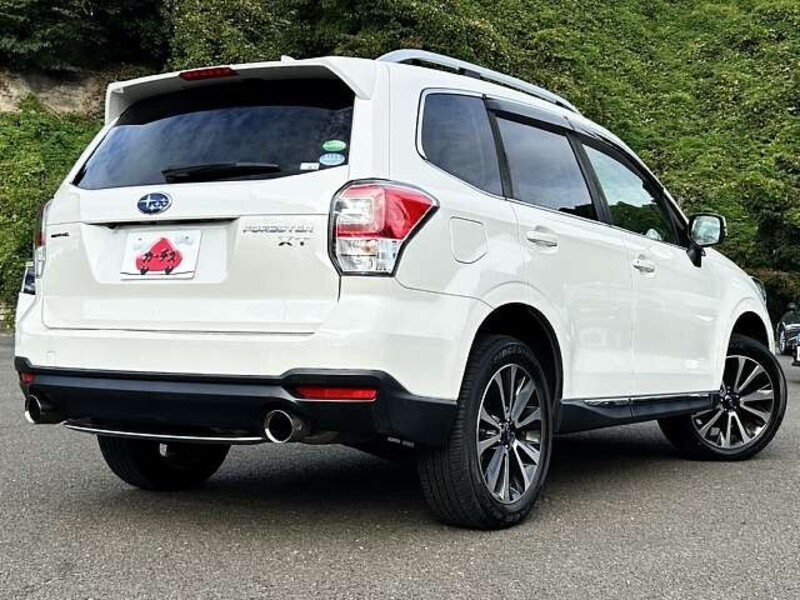 FORESTER