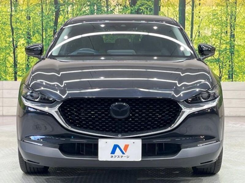 CX-30
