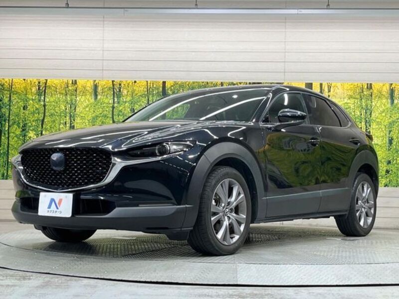 CX-30