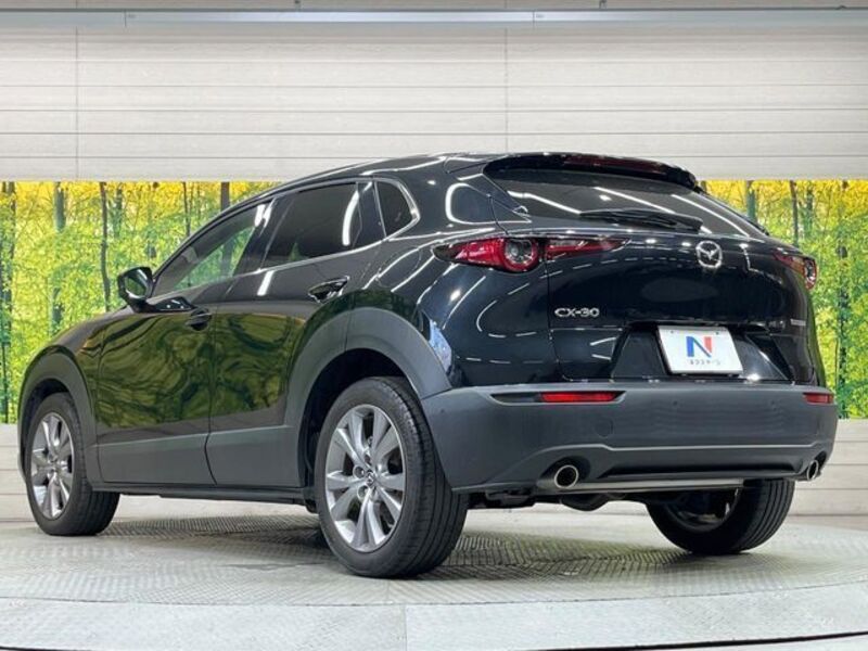 CX-30