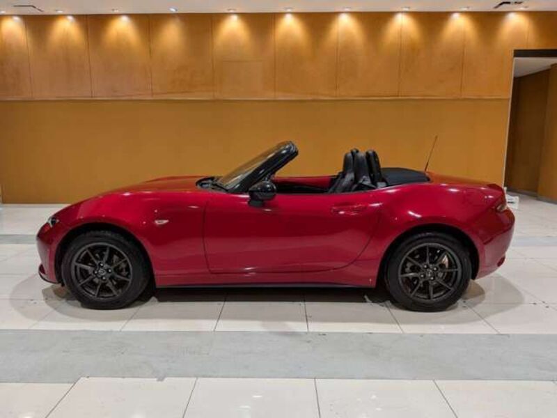 ROADSTER