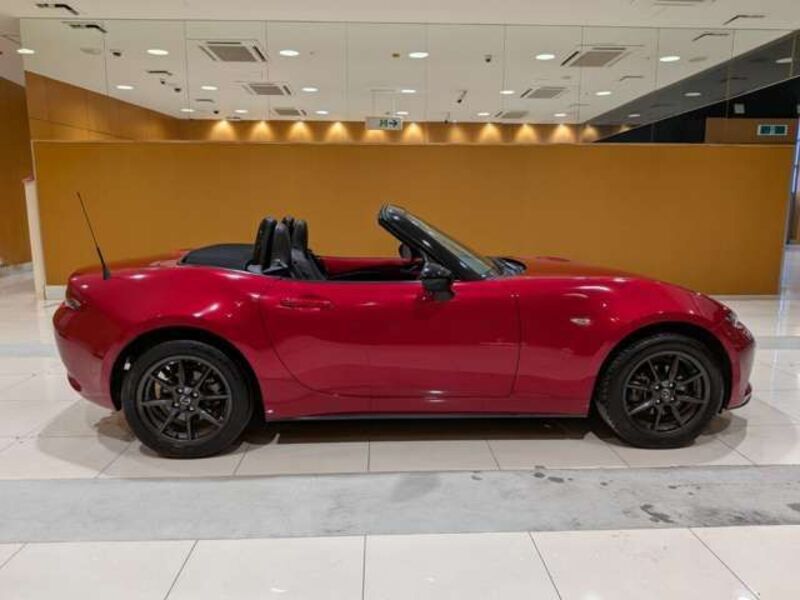 ROADSTER
