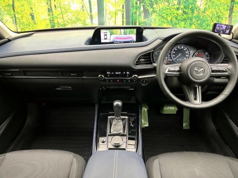 CX-30