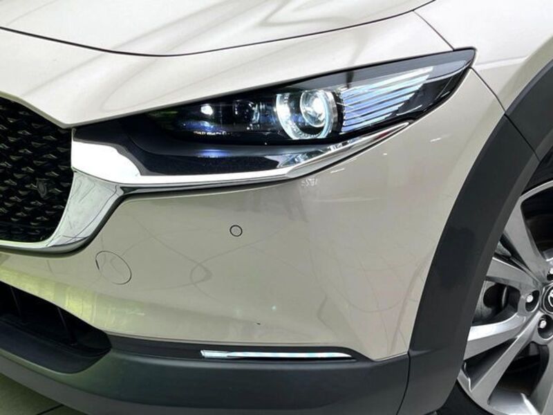 CX-30