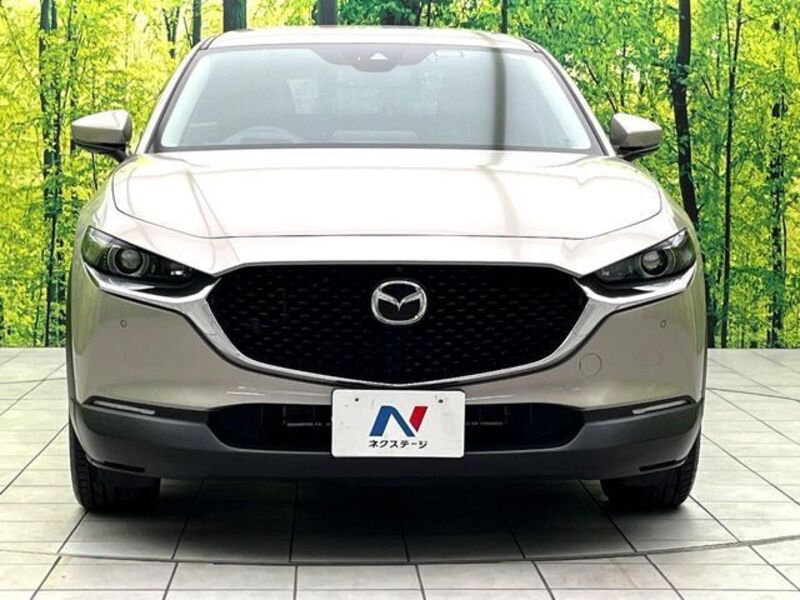 CX-30
