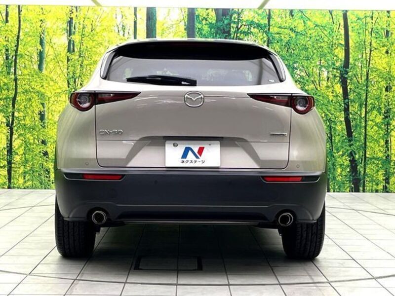 CX-30