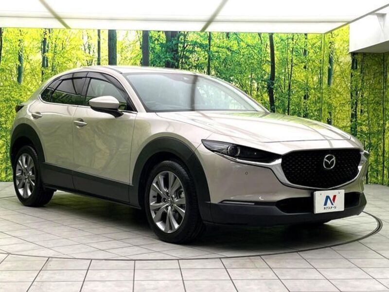 CX-30