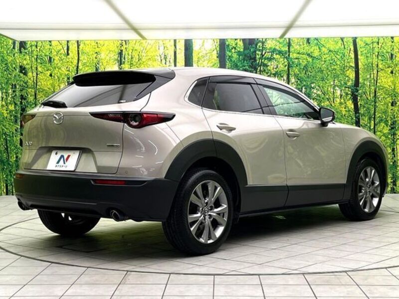 CX-30
