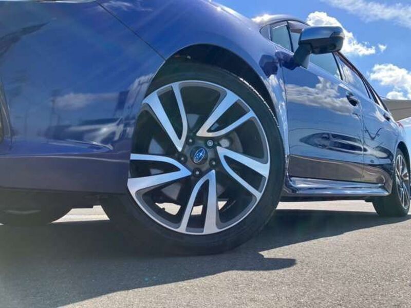 LEVORG