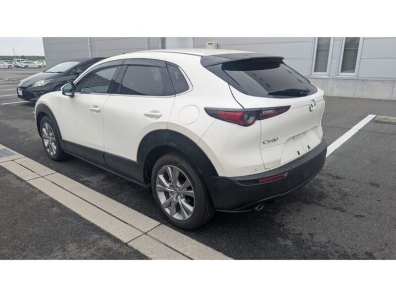 CX-30