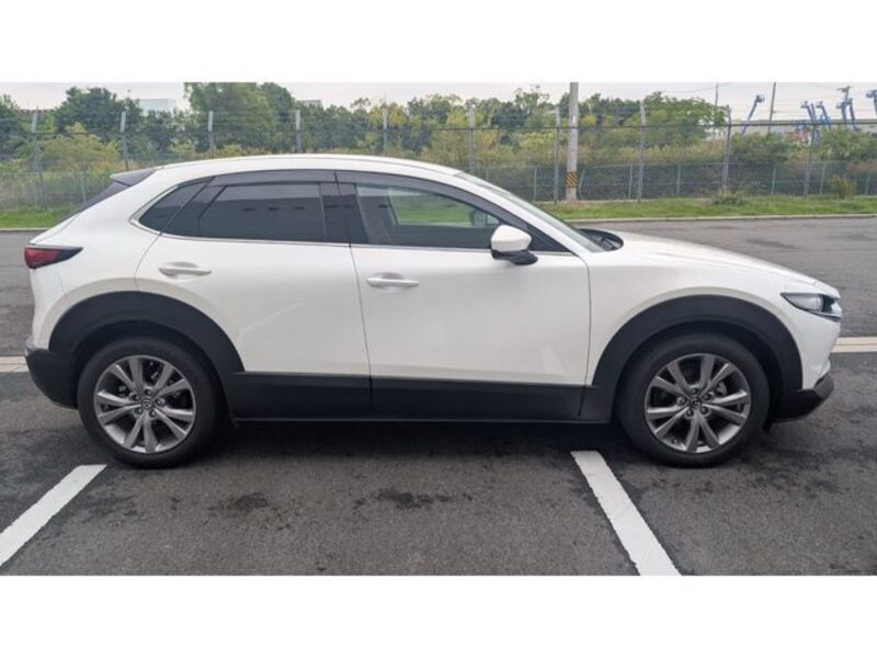 CX-30