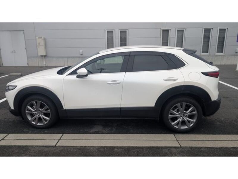 CX-30