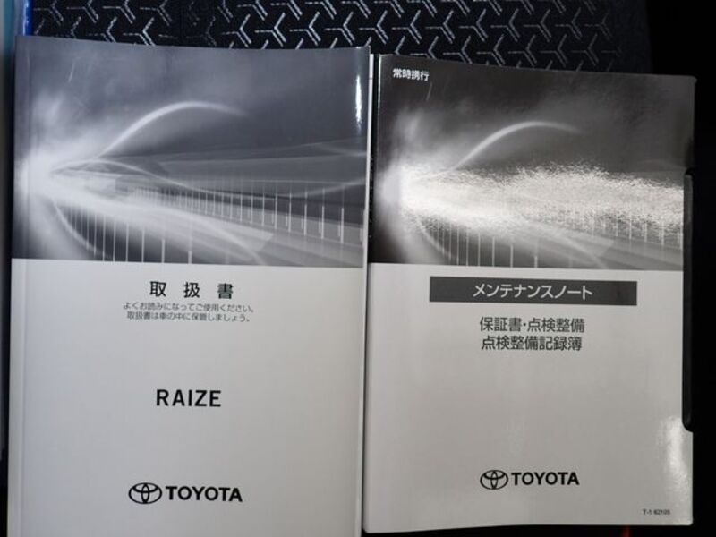 RAIZE