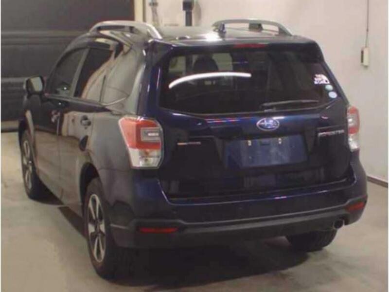 FORESTER