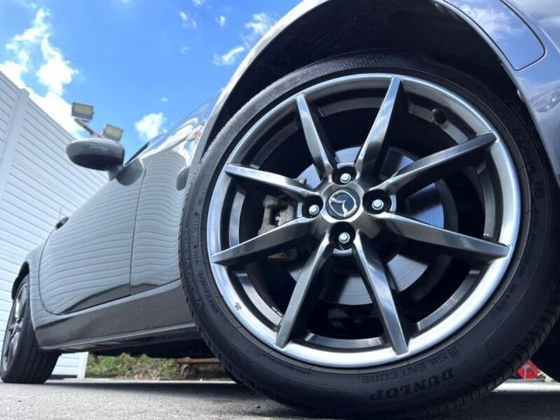 ROADSTER RF