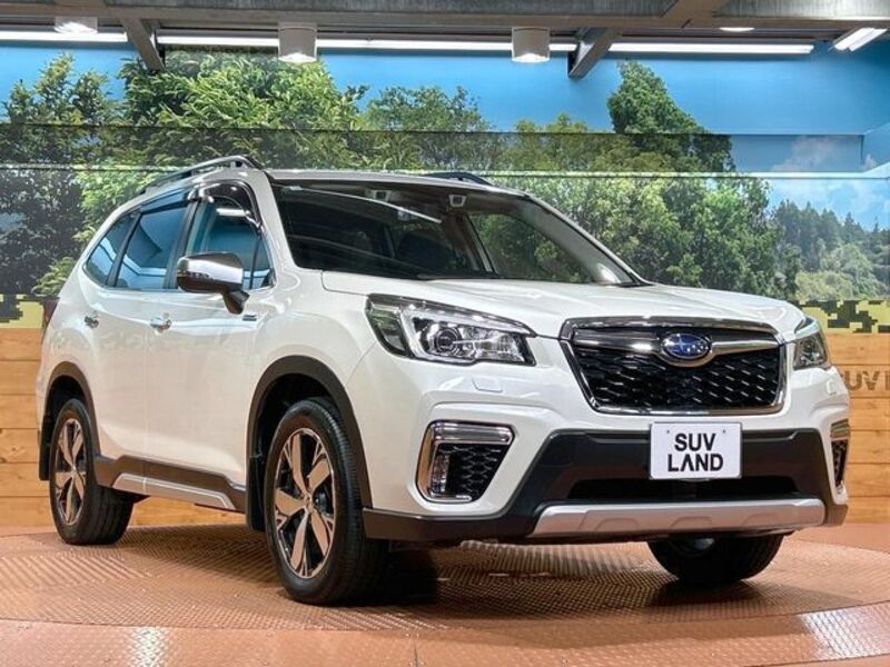 FORESTER