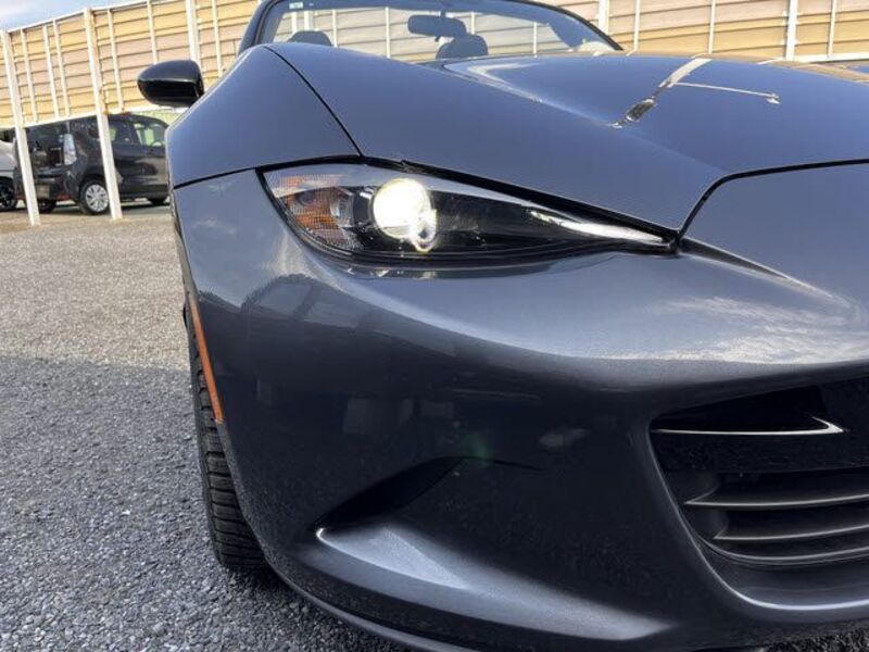 ROADSTER