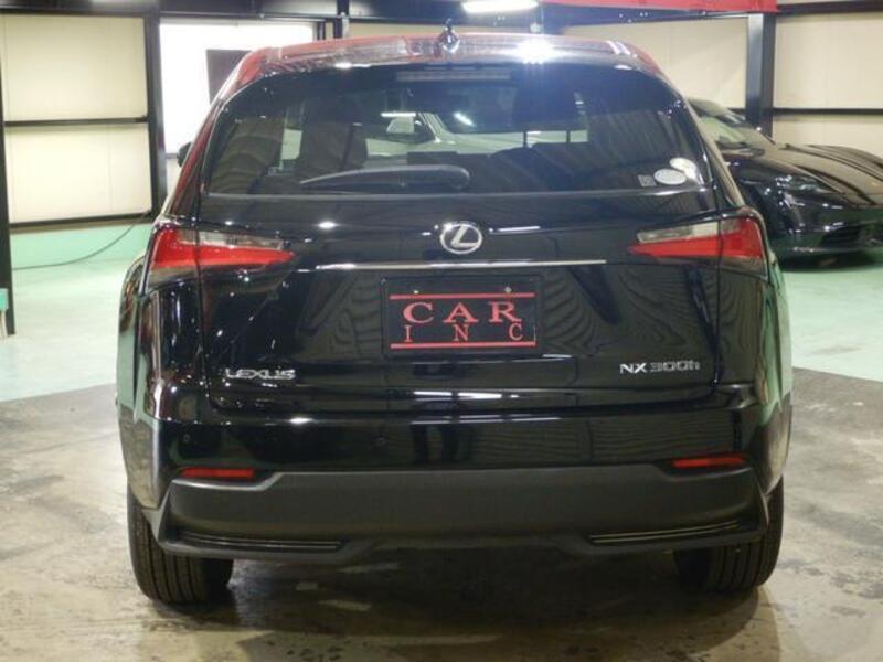 NX