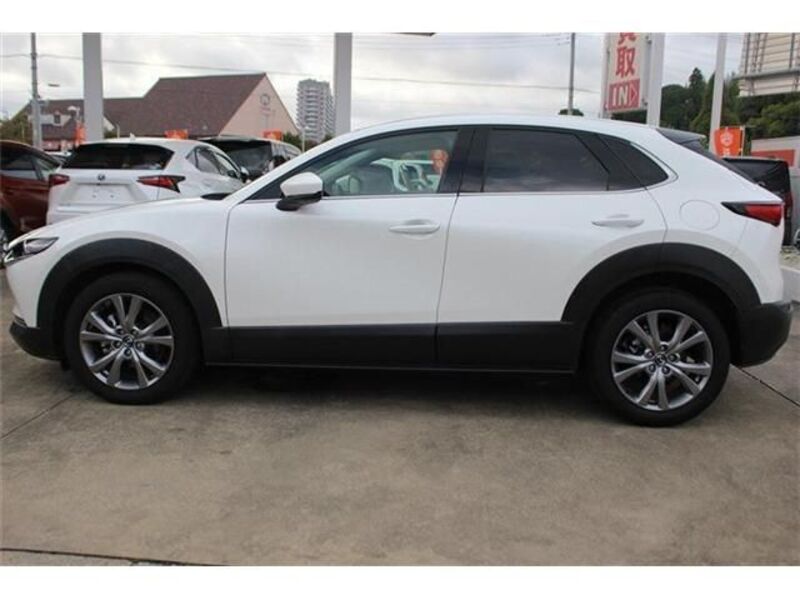 CX-30