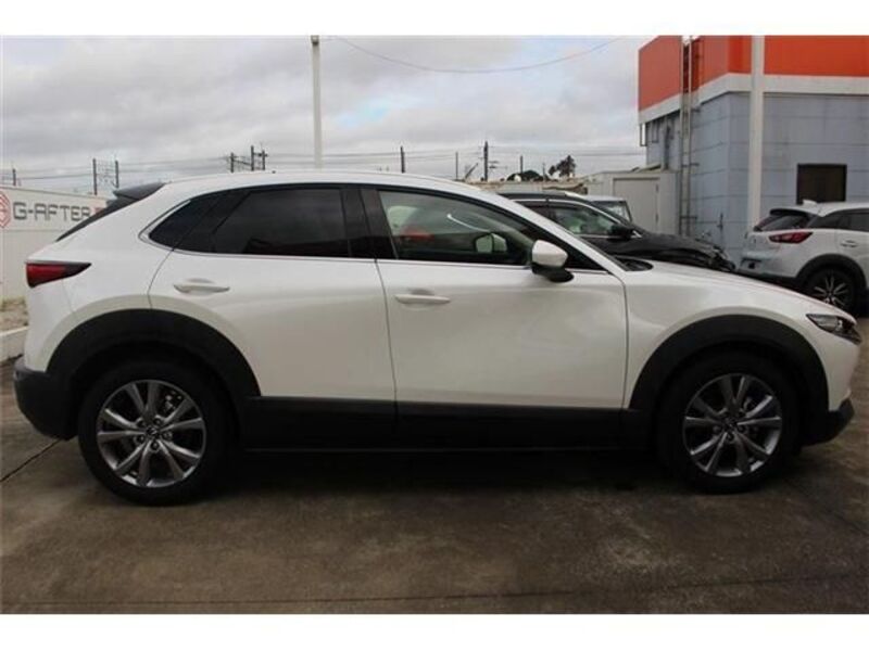 CX-30