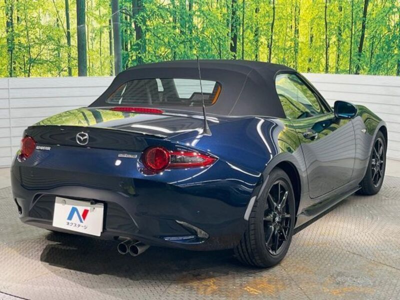 ROADSTER