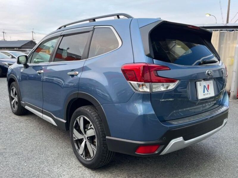 FORESTER