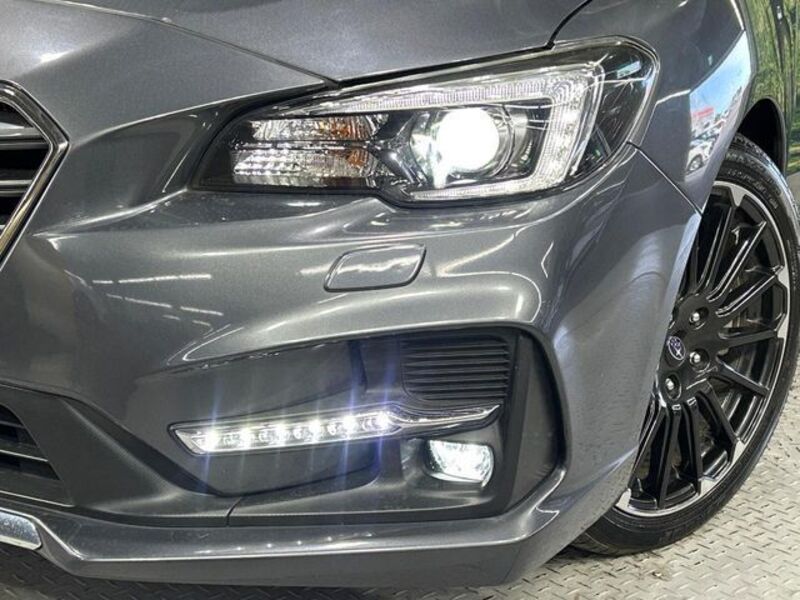 LEVORG