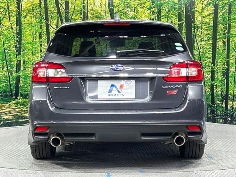 LEVORG