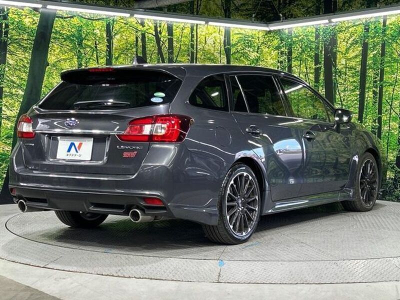 LEVORG