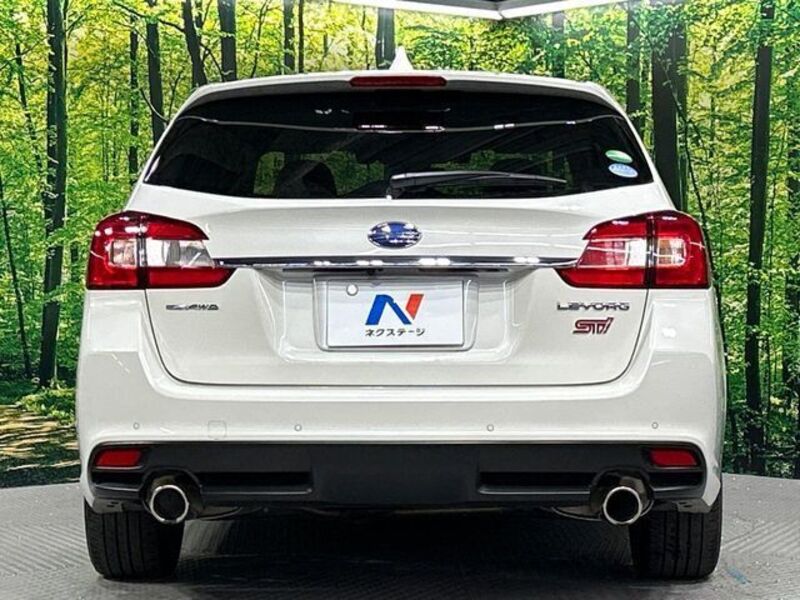 LEVORG
