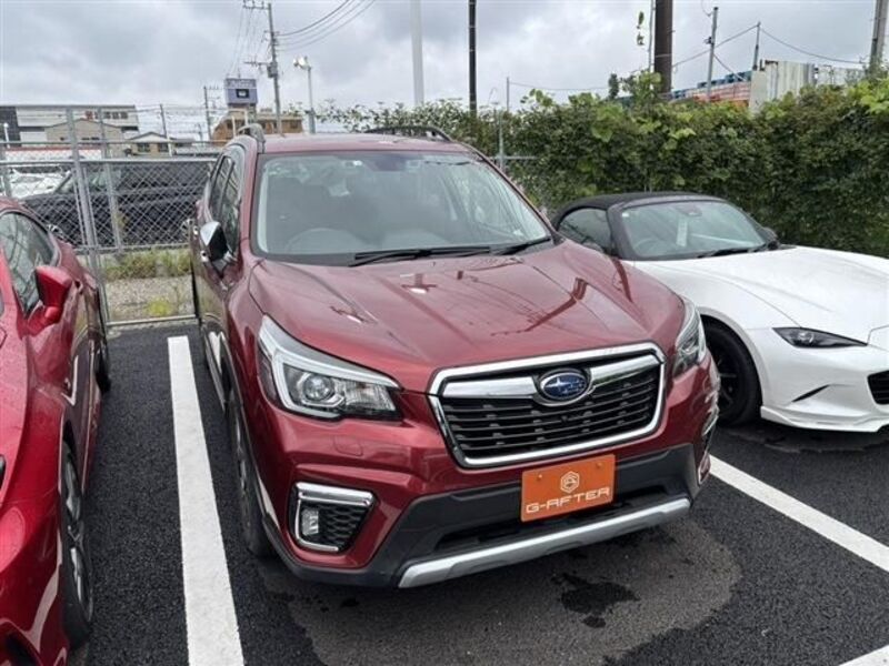 FORESTER-0