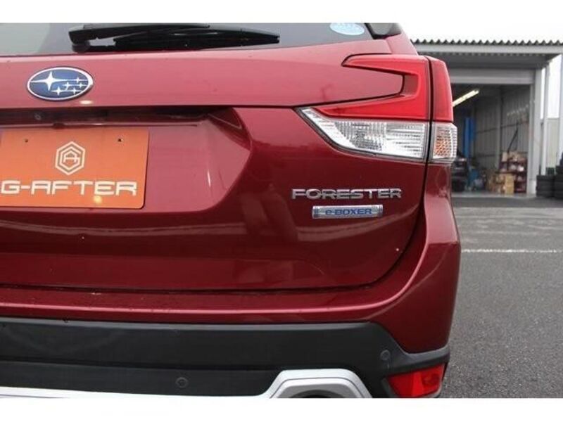 FORESTER