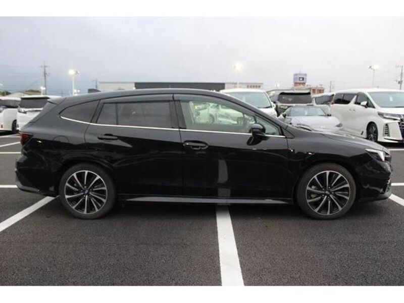 LEVORG