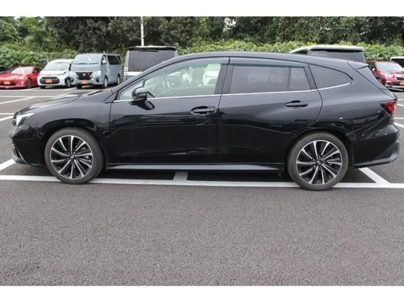 LEVORG