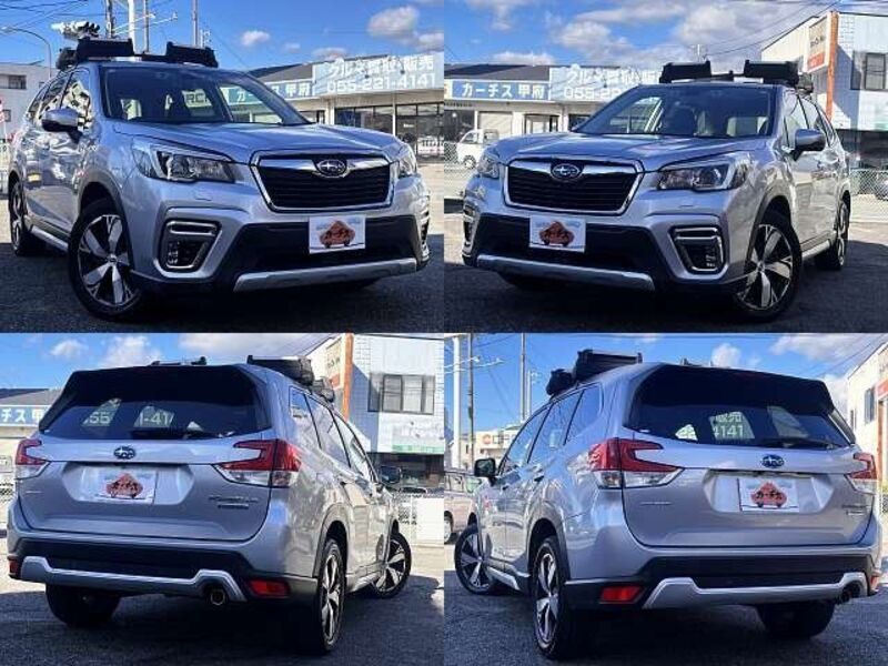 FORESTER