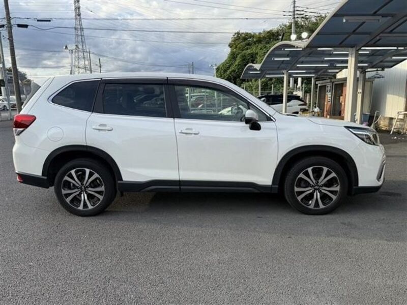 FORESTER
