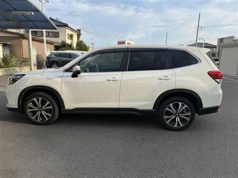FORESTER