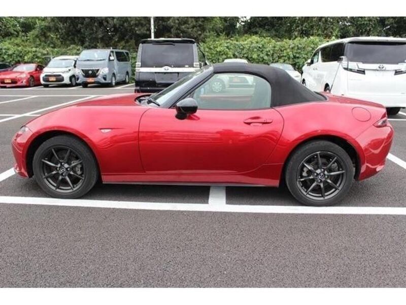 ROADSTER