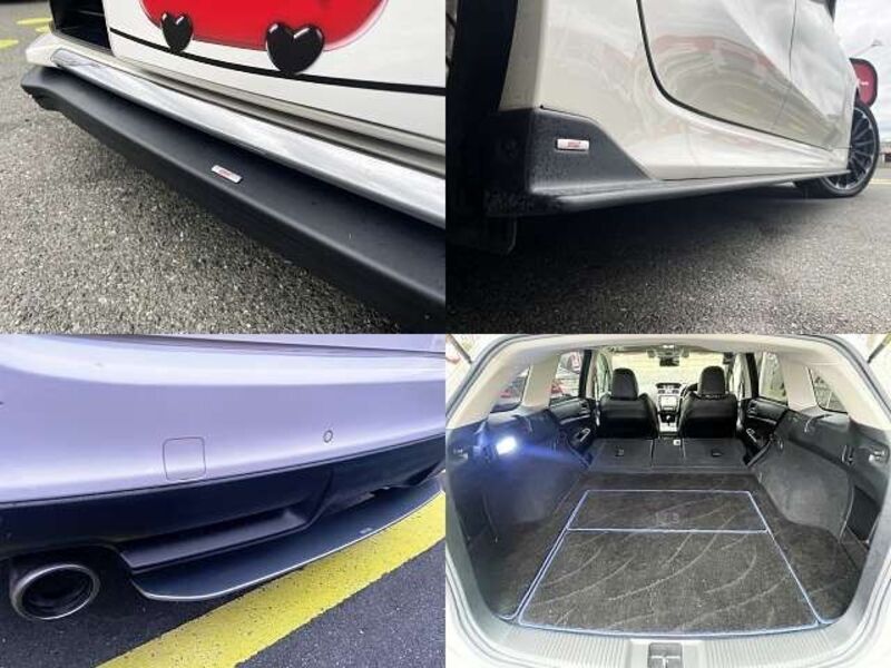 LEVORG