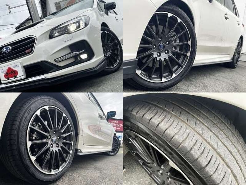 LEVORG