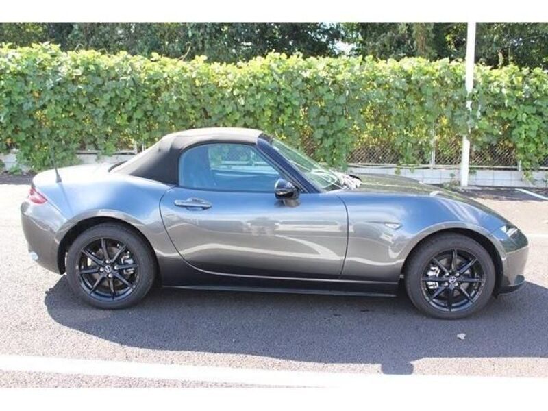 ROADSTER