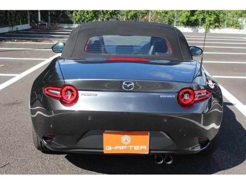 ROADSTER