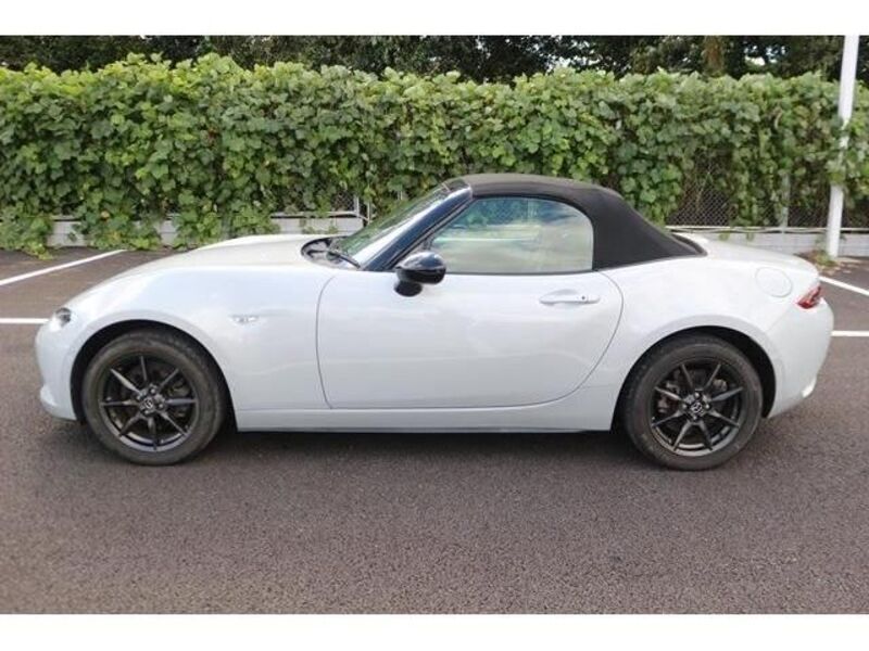 ROADSTER
