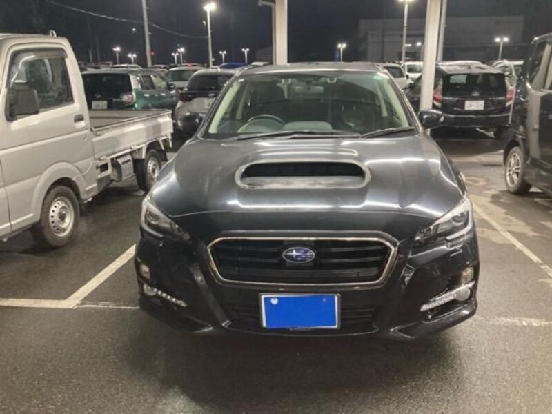 LEVORG