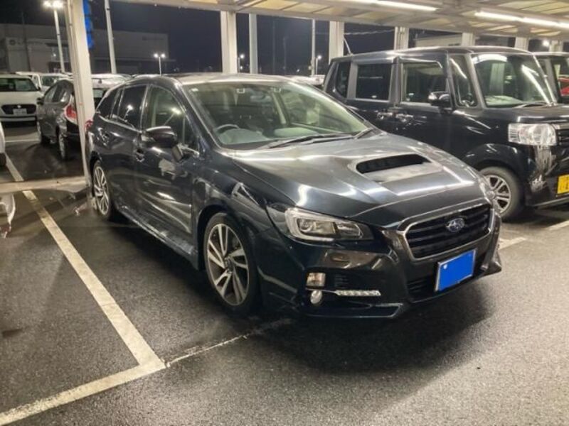 LEVORG