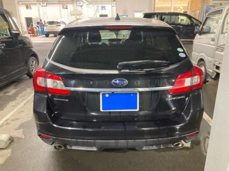 LEVORG