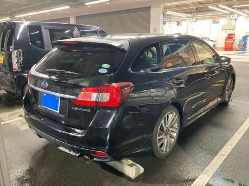 LEVORG