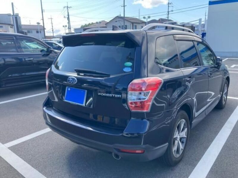 FORESTER