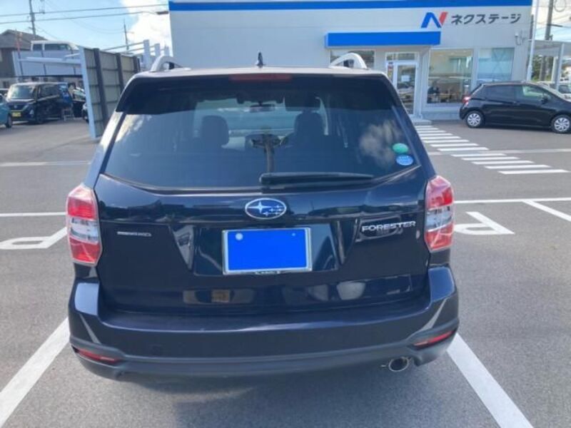 FORESTER