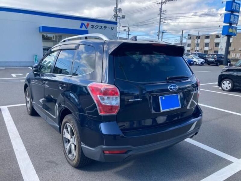 FORESTER